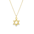 Load image into Gallery viewer, Star of David Pendant