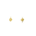 Load image into Gallery viewer, North Star Earrings