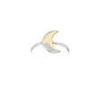 Load image into Gallery viewer, Crescent Moon Ring