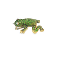 Load image into Gallery viewer, Green Frog Brooch