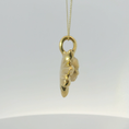 Load image into Gallery viewer, Golden Sun Pendant Necklace