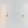 Load image into Gallery viewer, Leaf-Shaped Earrings