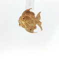 Load image into Gallery viewer, Fish Brooch with Ruby Accent