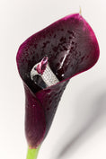 Load image into Gallery viewer, Kenzie Elise: Diamond and Pink Sapphire Ring