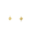 Load image into Gallery viewer, North Star Earrings
