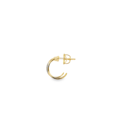 Elegant Gold Hoop Earrings