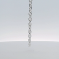 Load image into Gallery viewer, Silver Ellipse Necklace
