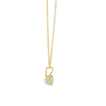 Load image into Gallery viewer, Gold Pendant & Necklace
