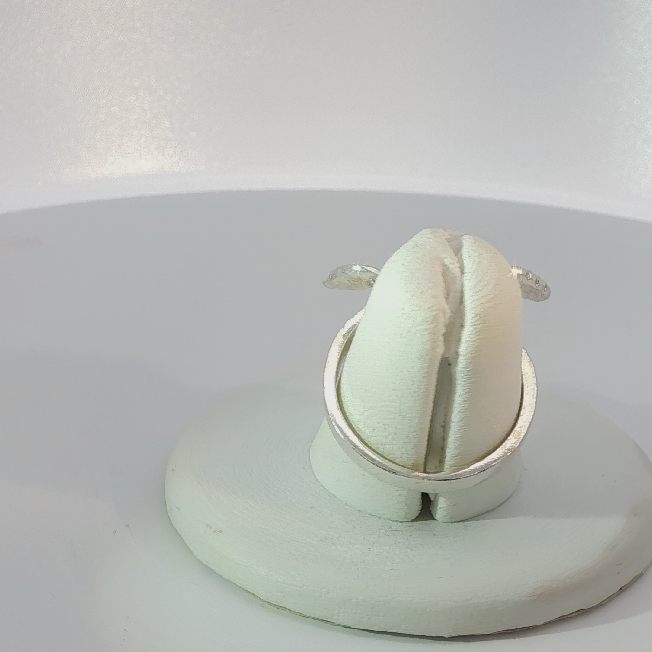 Sterling Silver Turtle Ring, Sea Life Jewelry