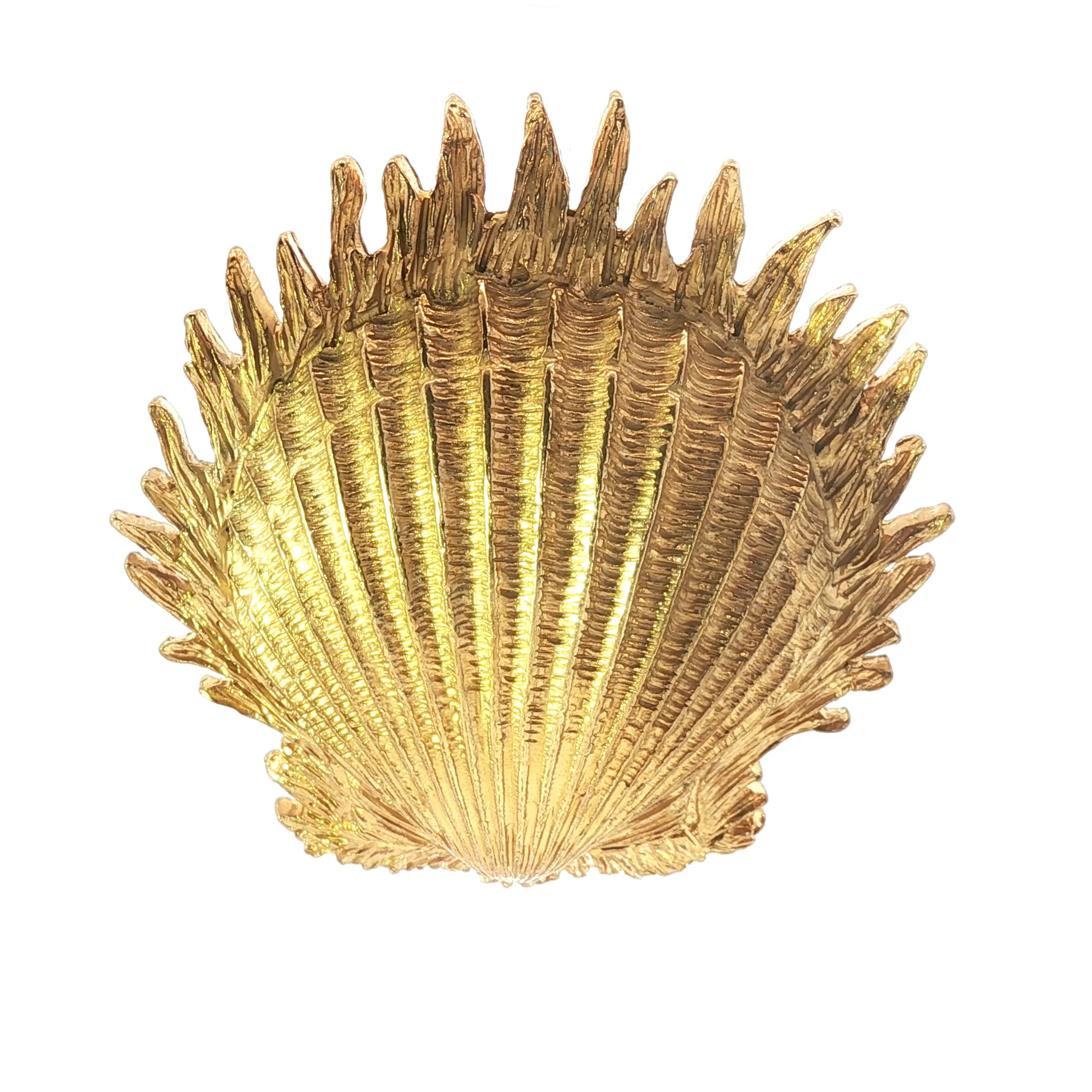 Seashell Brooch
