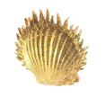 Load image into Gallery viewer, Seashell Brooch

