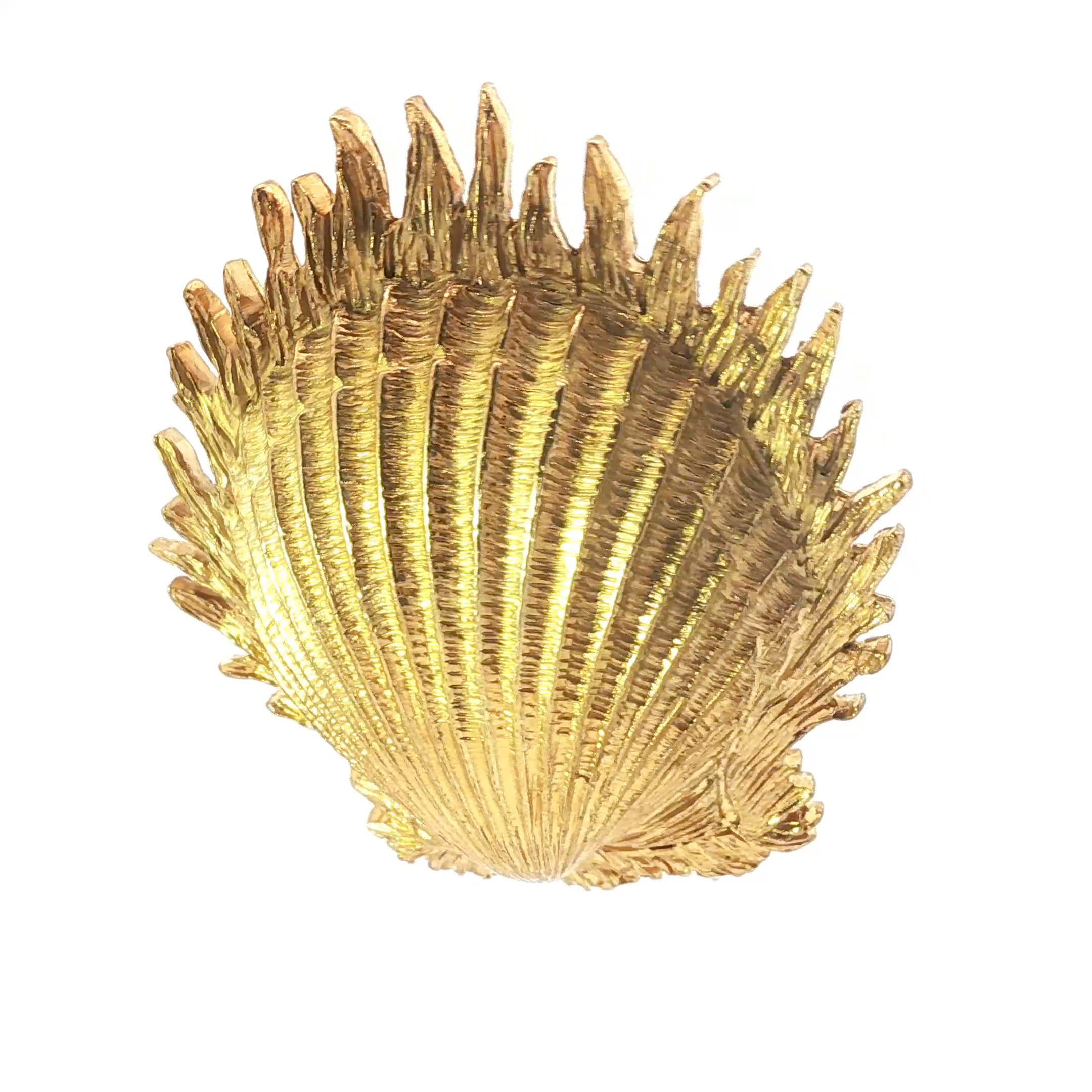 Seashell Brooch