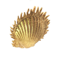 Load image into Gallery viewer, Seashell Brooch
