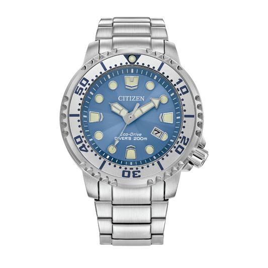 Promaster Dive