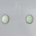 Load and play video in Gallery viewer, Opal Earrings
