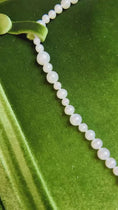 Load and play video in Gallery viewer, Pearls Strand Set
