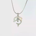 Load and play video in Gallery viewer, Silver Diamond Dolphin Charm
