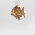 Load and play video in Gallery viewer, Fish Brooch with Ruby Accent
