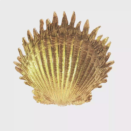 Seashell Brooch